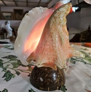 Queen Conch Shell Mid Century Table Lamp